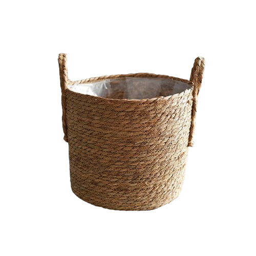 bambou en jardiniere | Loryal