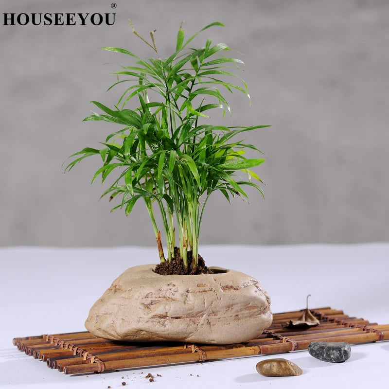 jardiniere ceramique | style soigné pour intérieur et extérieur