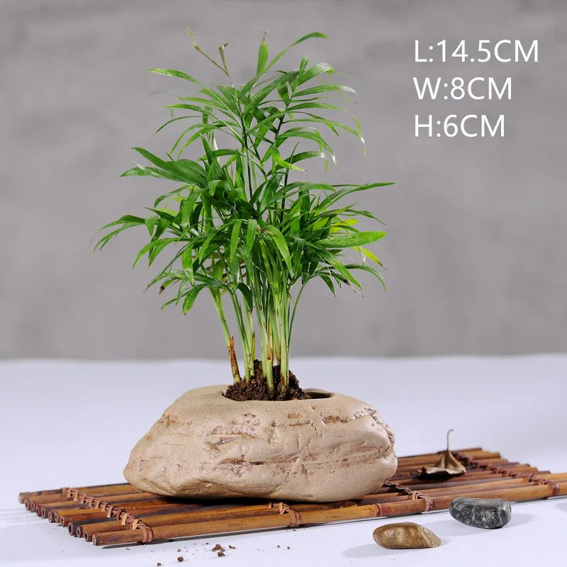 Mini Jardin Zen Galets | Calvénis