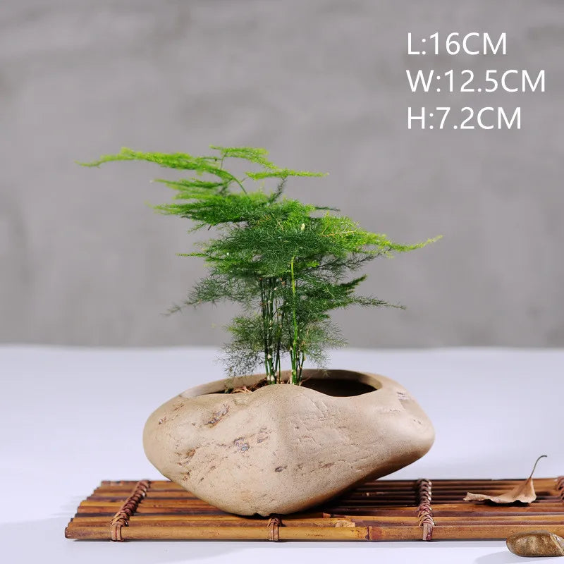 Mini Jardin Zen Galets | Calvénis