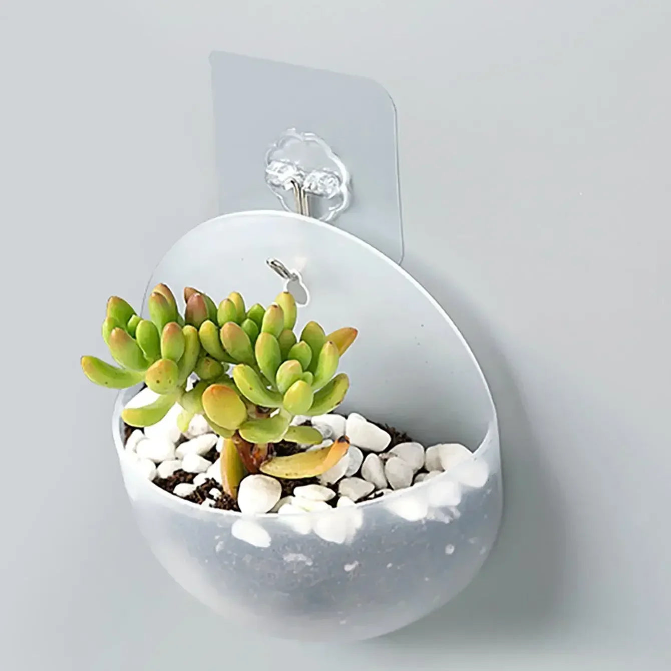 Jardinière sur muret | Coren