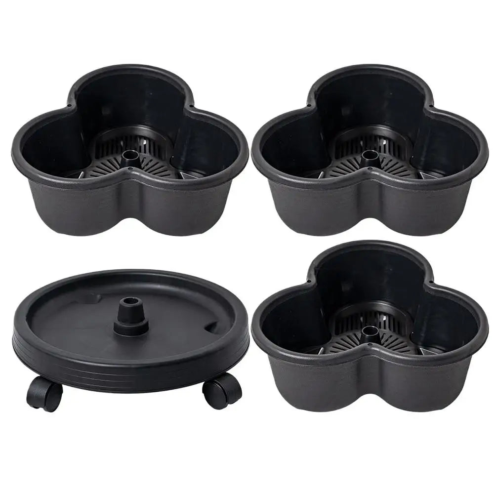 Fraisier en jardinière | Norvénis