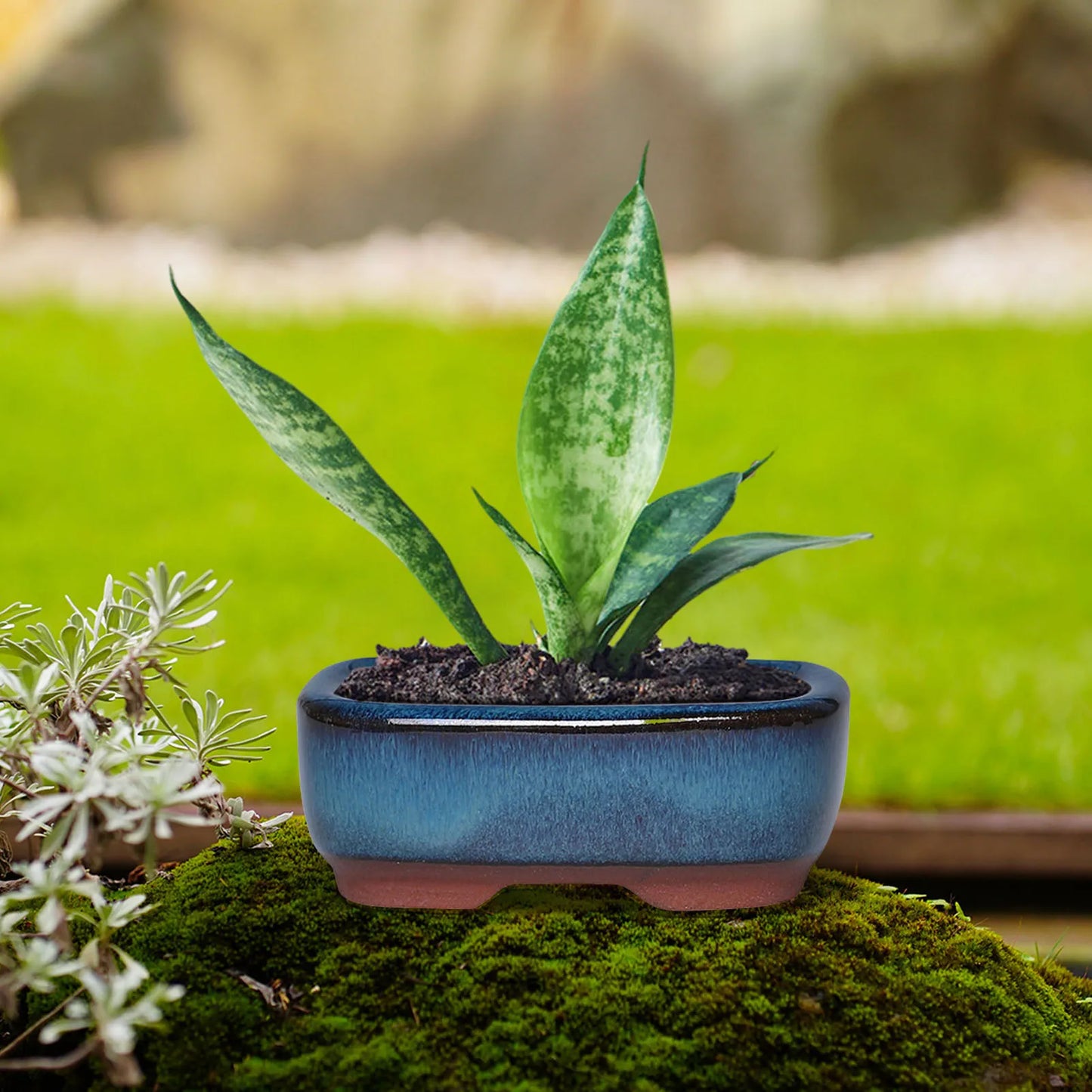 Jardinière en céramique | Arvea