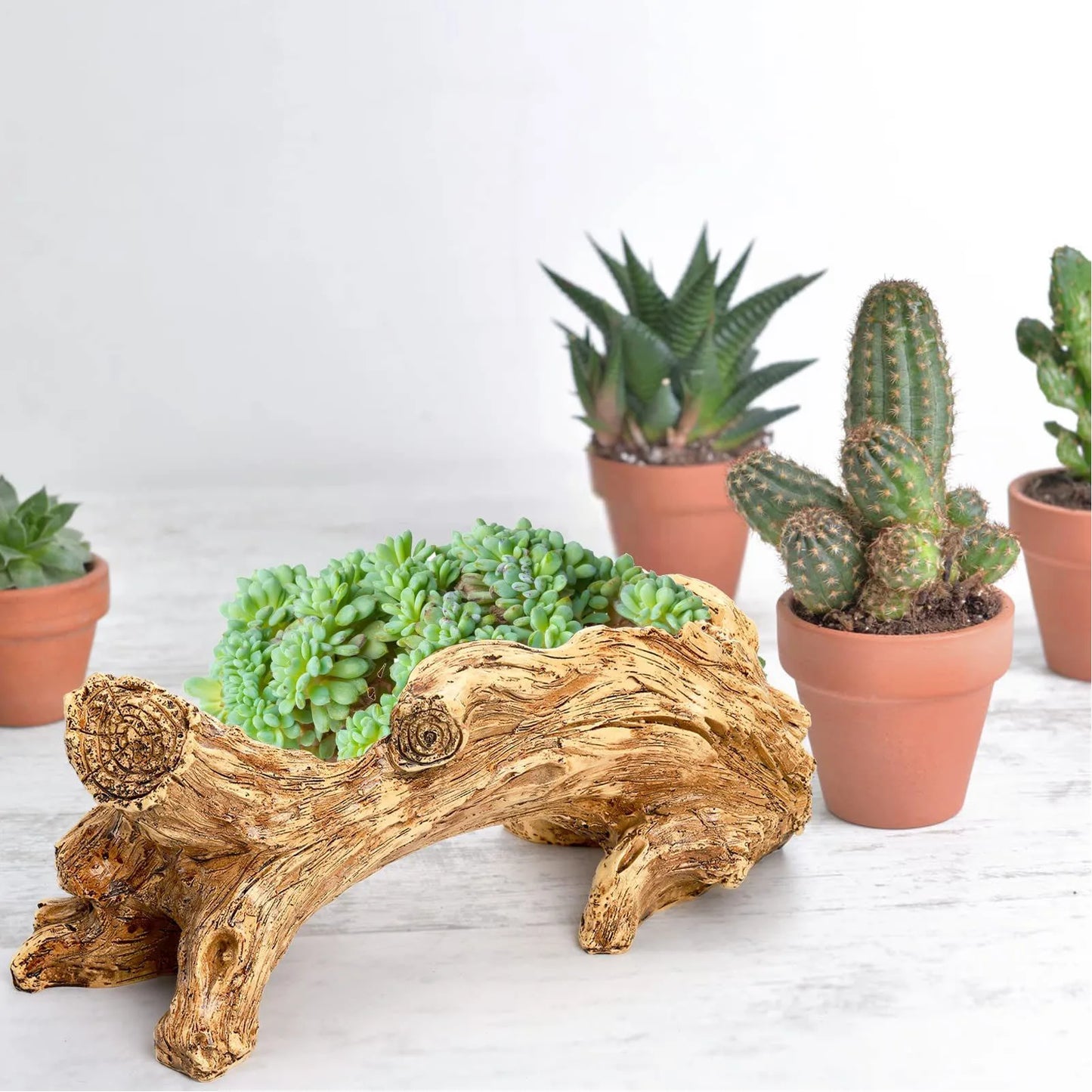 Jardinière balcon hiver | Norvyn