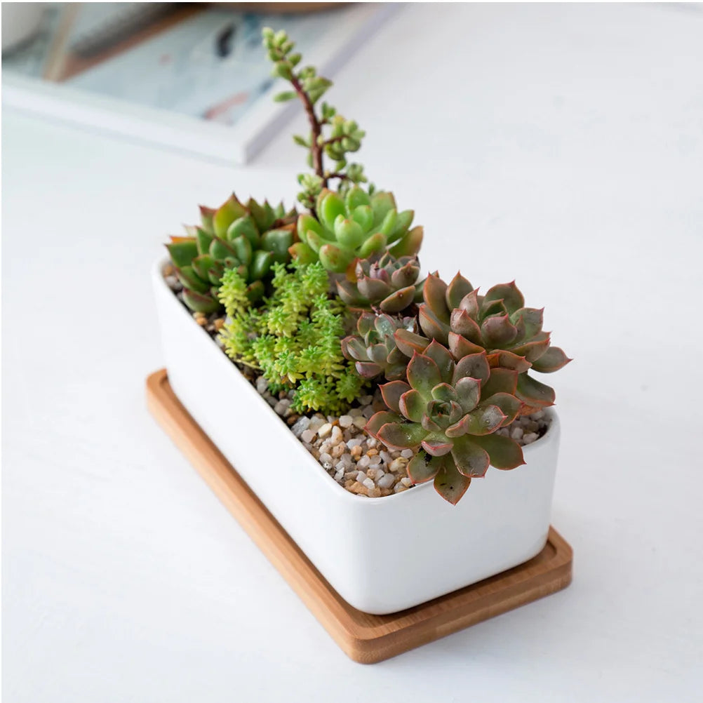 Jardinière en céramique | Norys