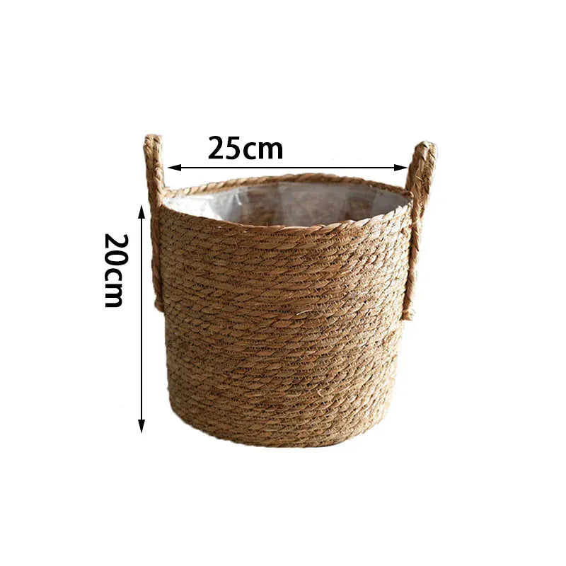 bambou en jardinière | Loryal