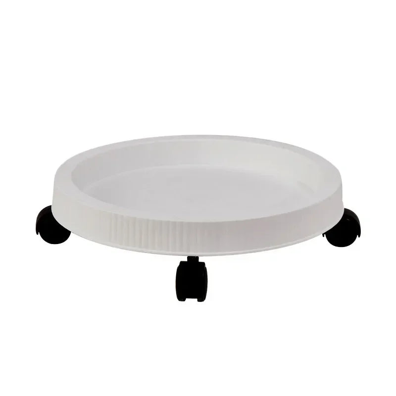 Fraisier jardinière | Sylvane