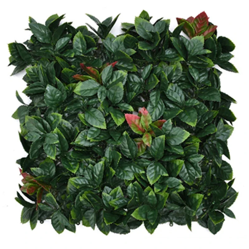 plantes mur végétal intérieur | Feraly