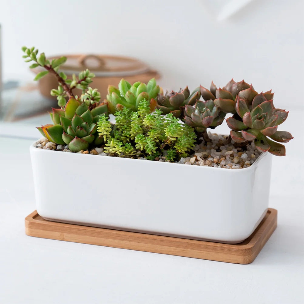 Jardinière en céramique | Norys