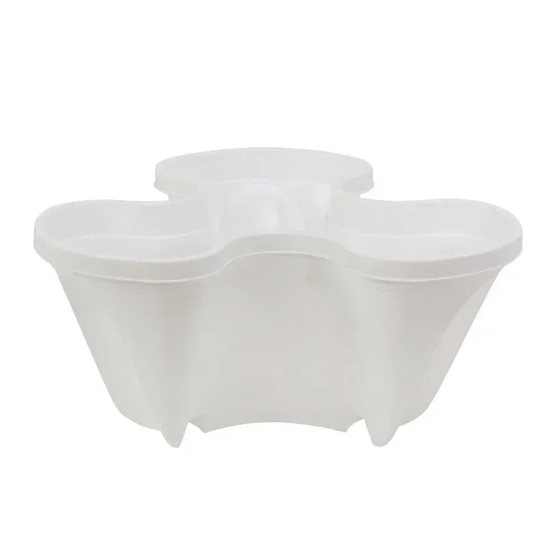 Fraisier jardinière | Sylvane