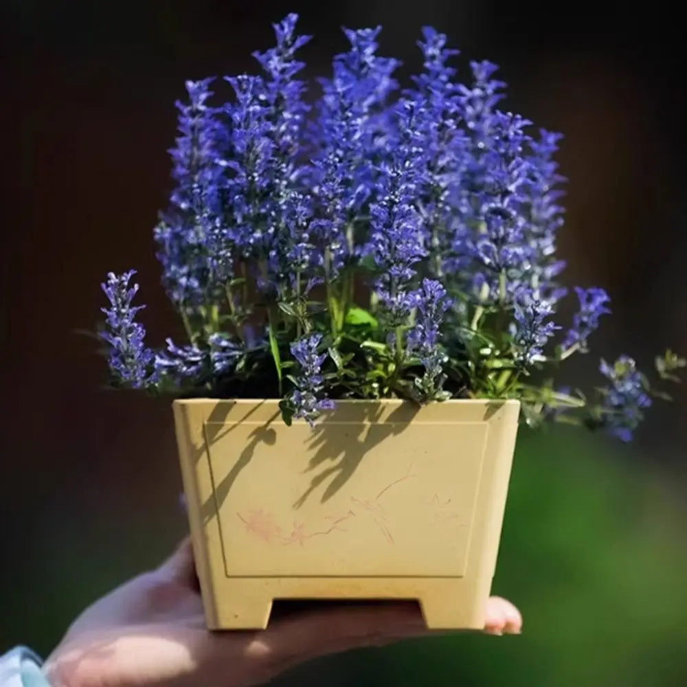 Jardinière d'intérieur | Style moderne et épuré