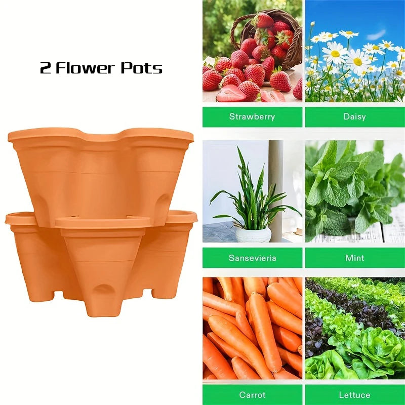 Fraisier pour jardinière | Arvelis