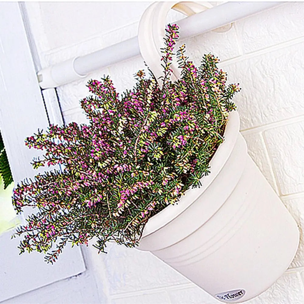 Jardinière d'intérieur | Arvenya