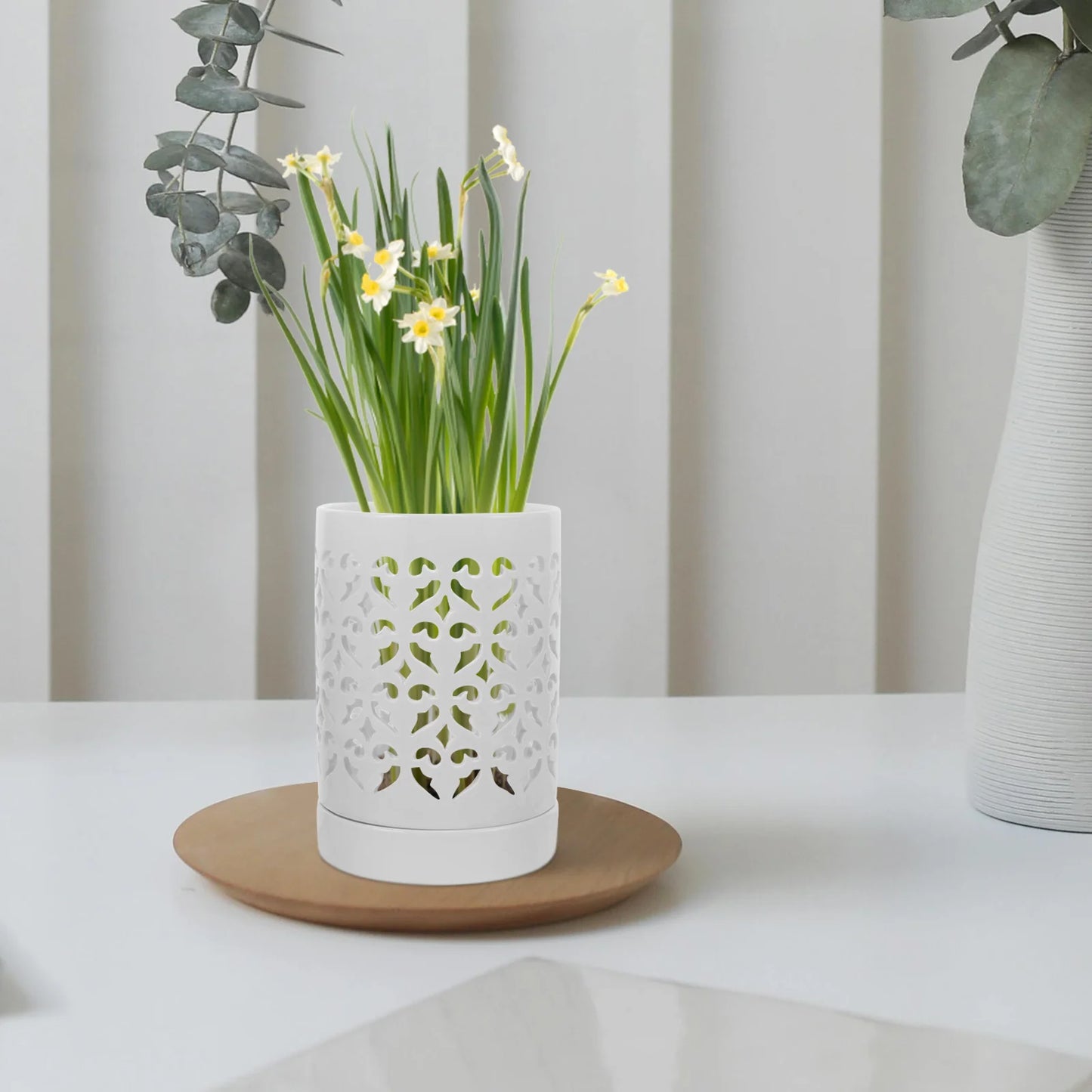 Jardinière fenêtre extérieur | Lorysia