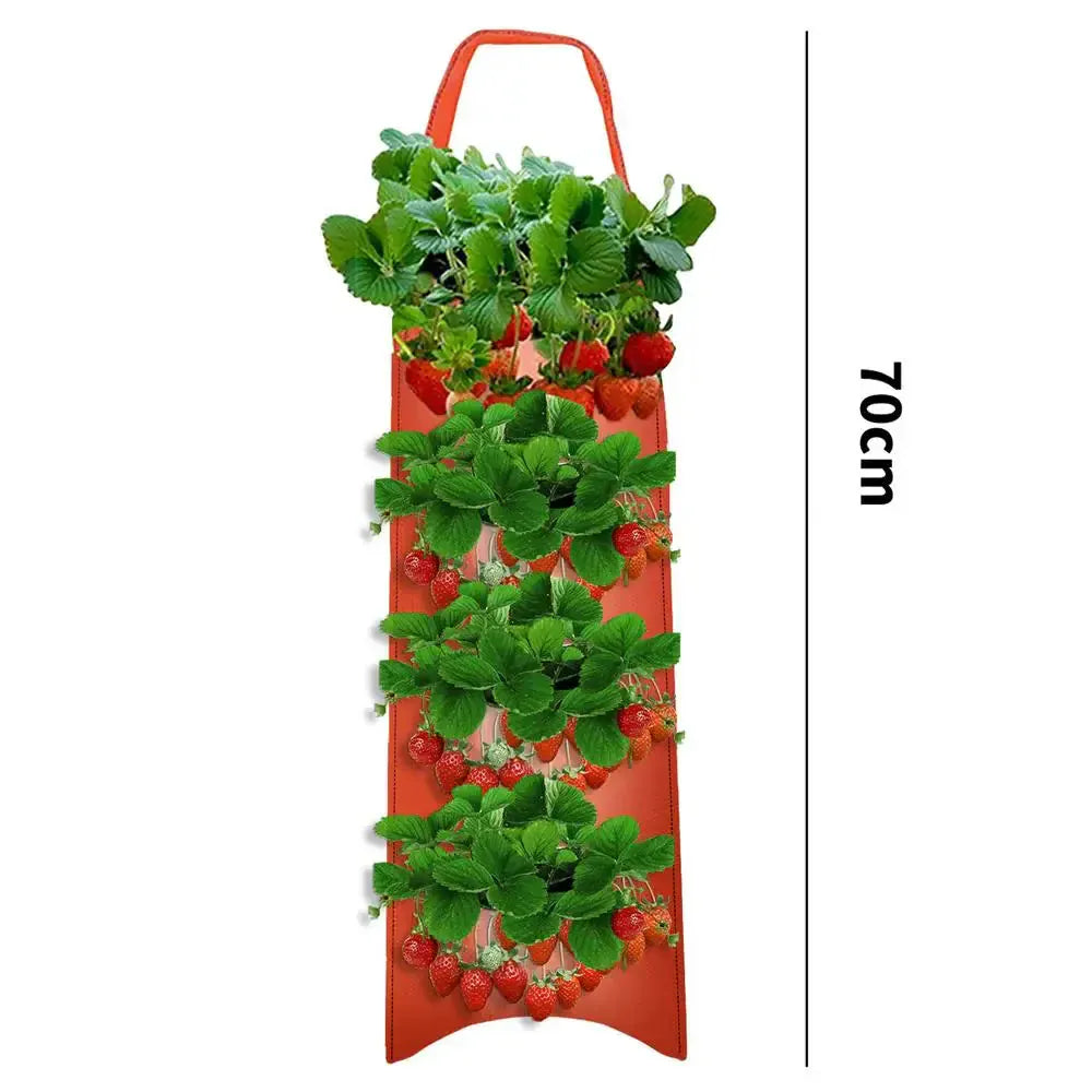 fraisiers en jardiniere polyvalente | Velora