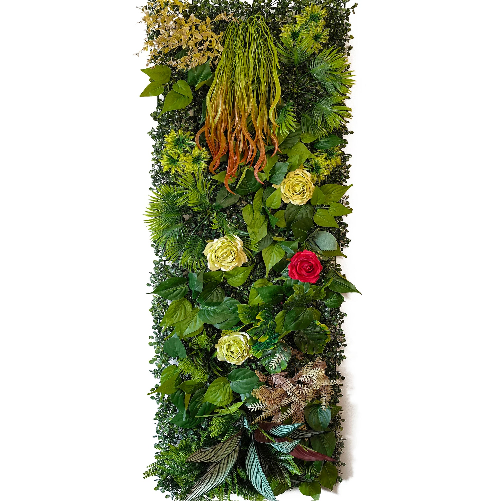mur végétal maison | Alenya