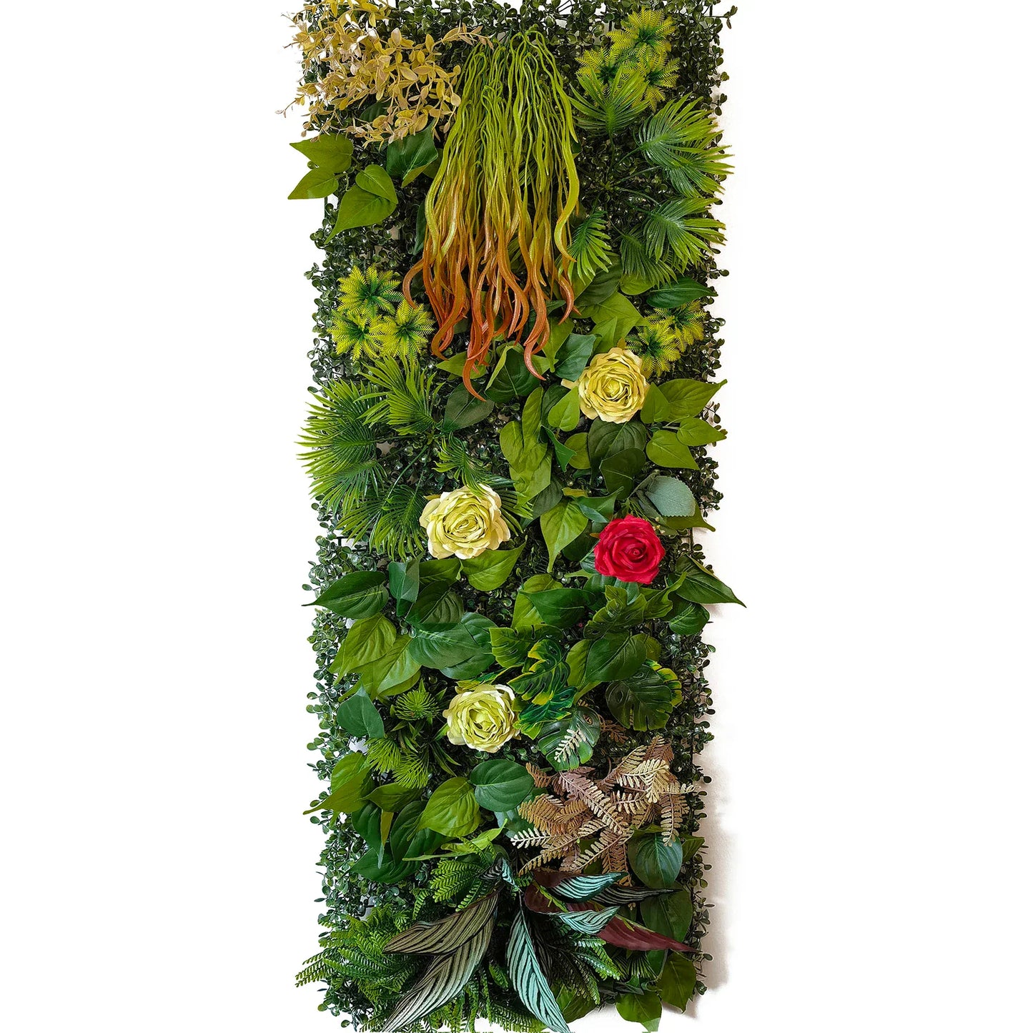 mur végétal maison | Alenya