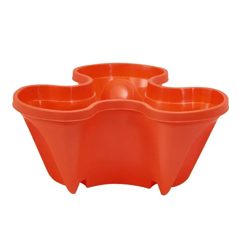 Fraisier jardinière | Sylvane