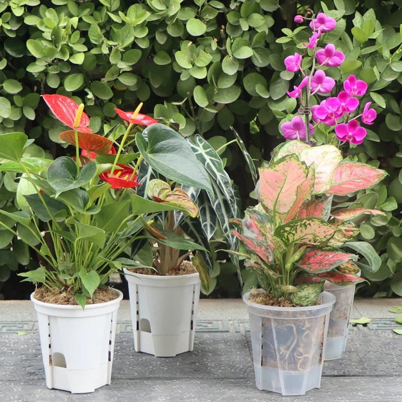 Jardinières blanches en plastique | Valyn