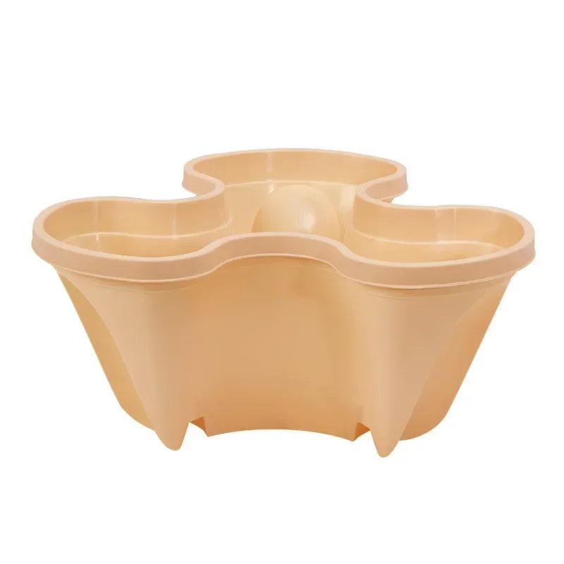 Fraisier jardinière | Sylvane