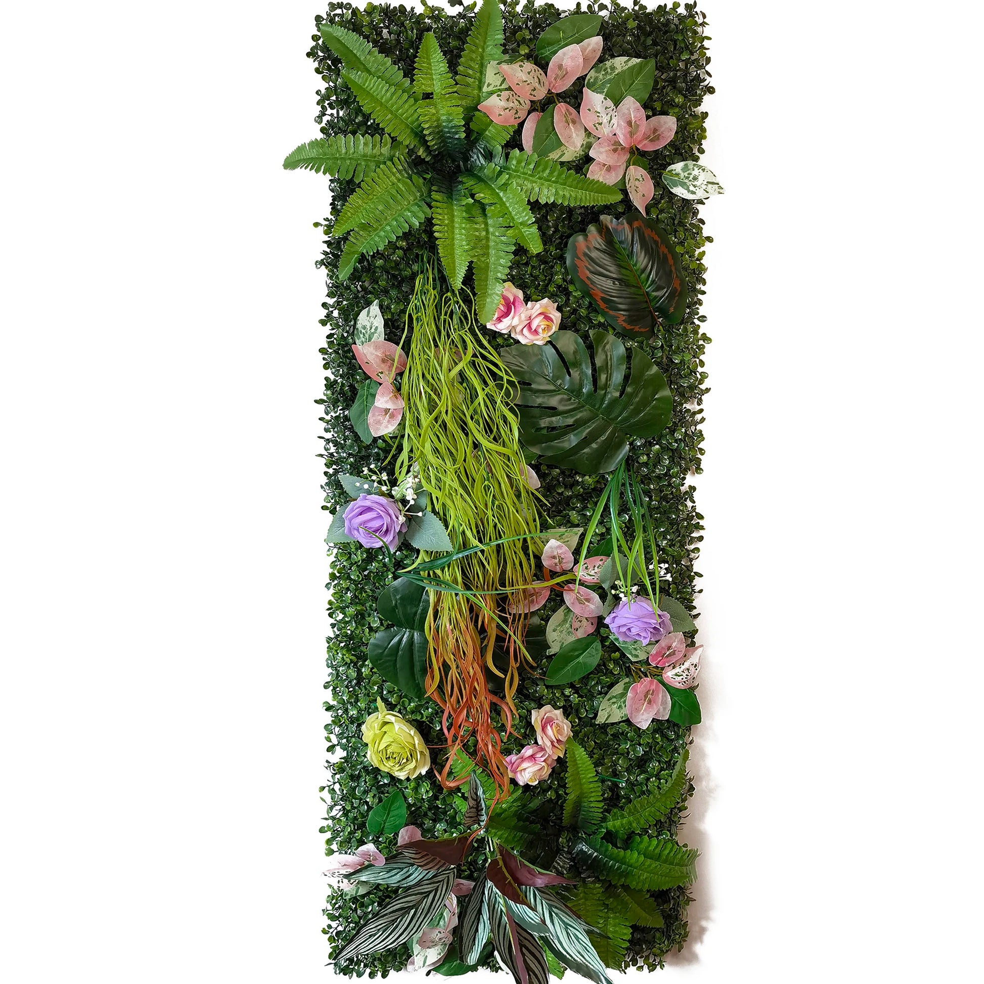 plante mur végétal intérieur | Sylren