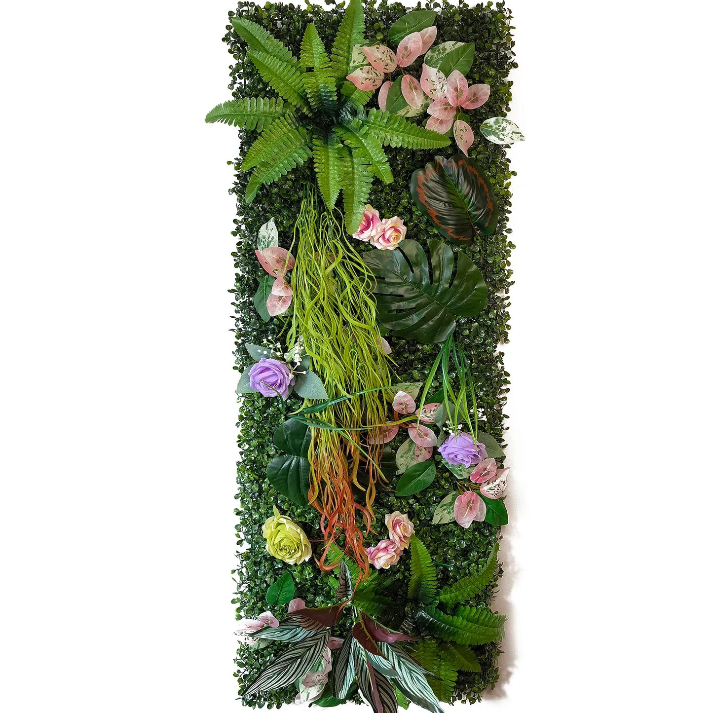 plante mur végétal intérieur | Sylren