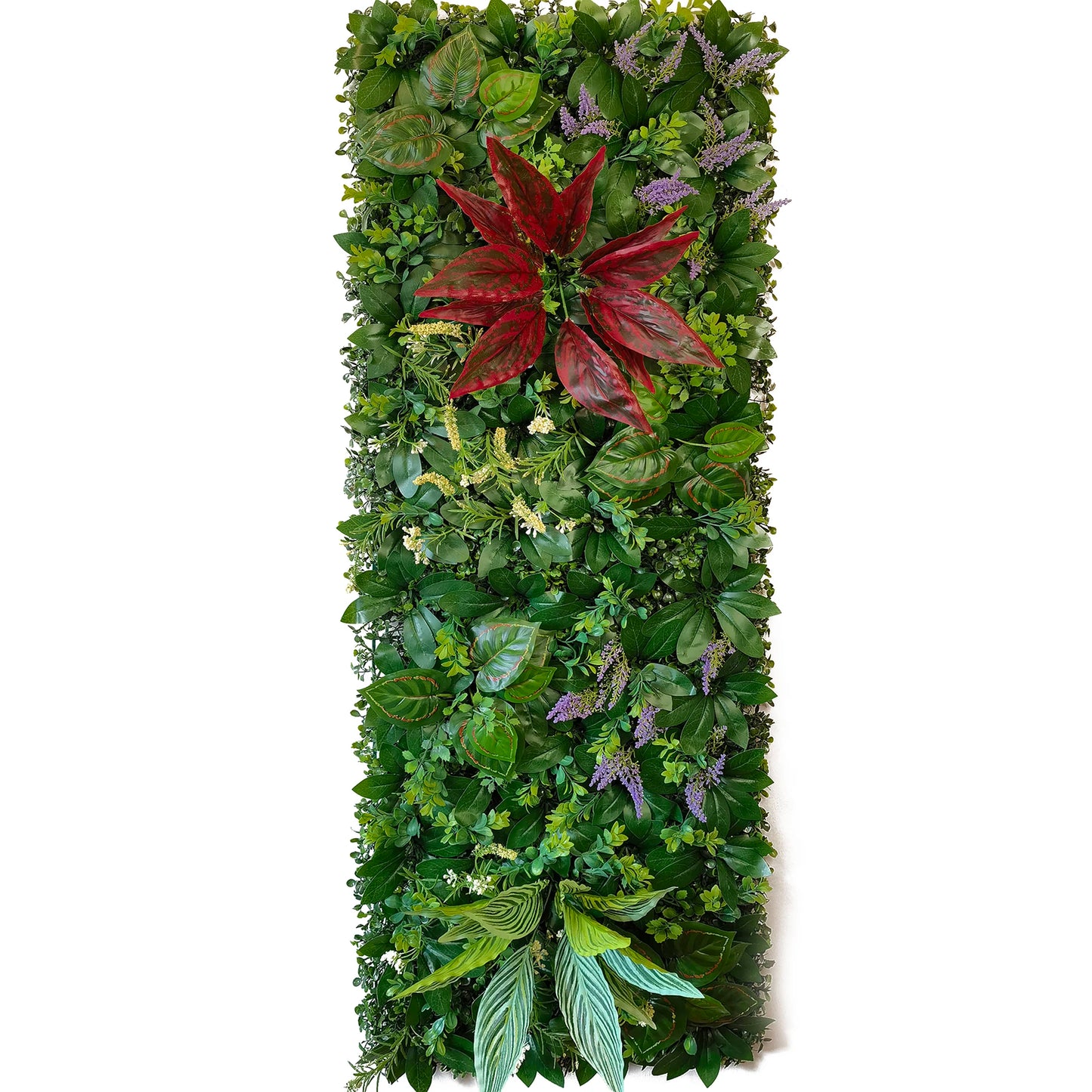 plante mur végétal | Orven