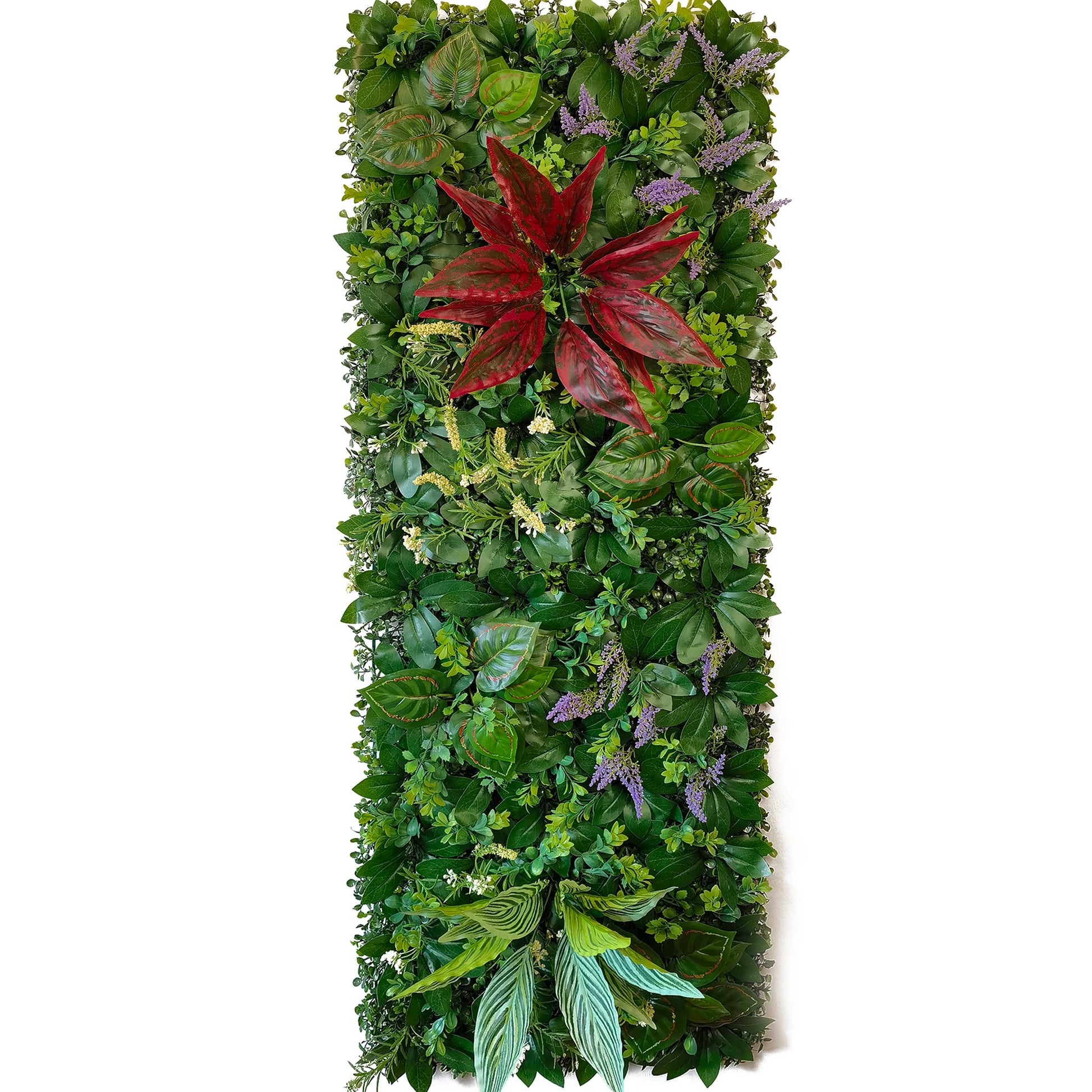 plante mur végétal | Orven