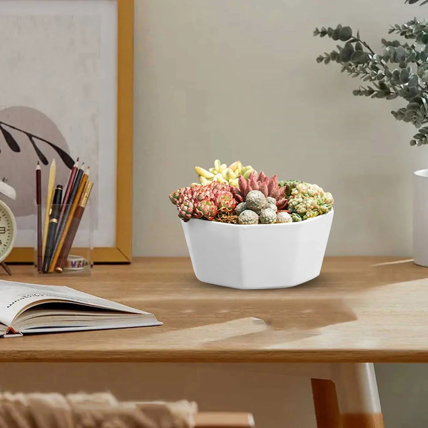 Jardinière en plastique | Cylven