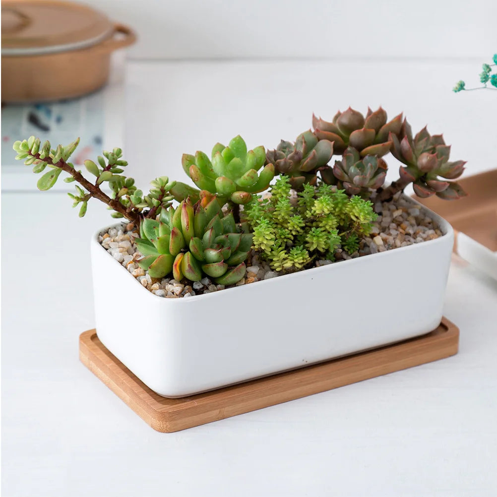 Jardinière en céramique | Norys