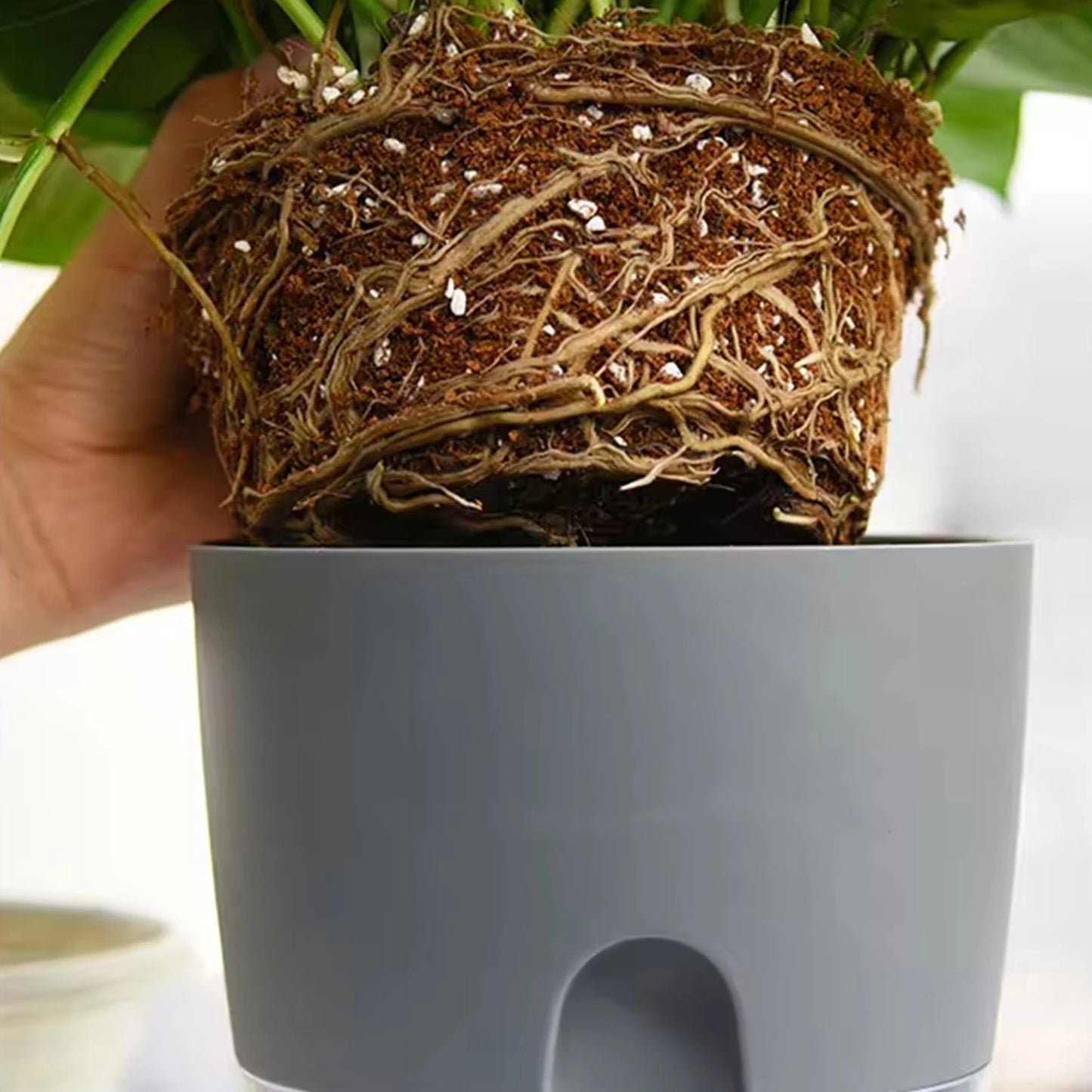 Jardinière ronde | Finition soignée