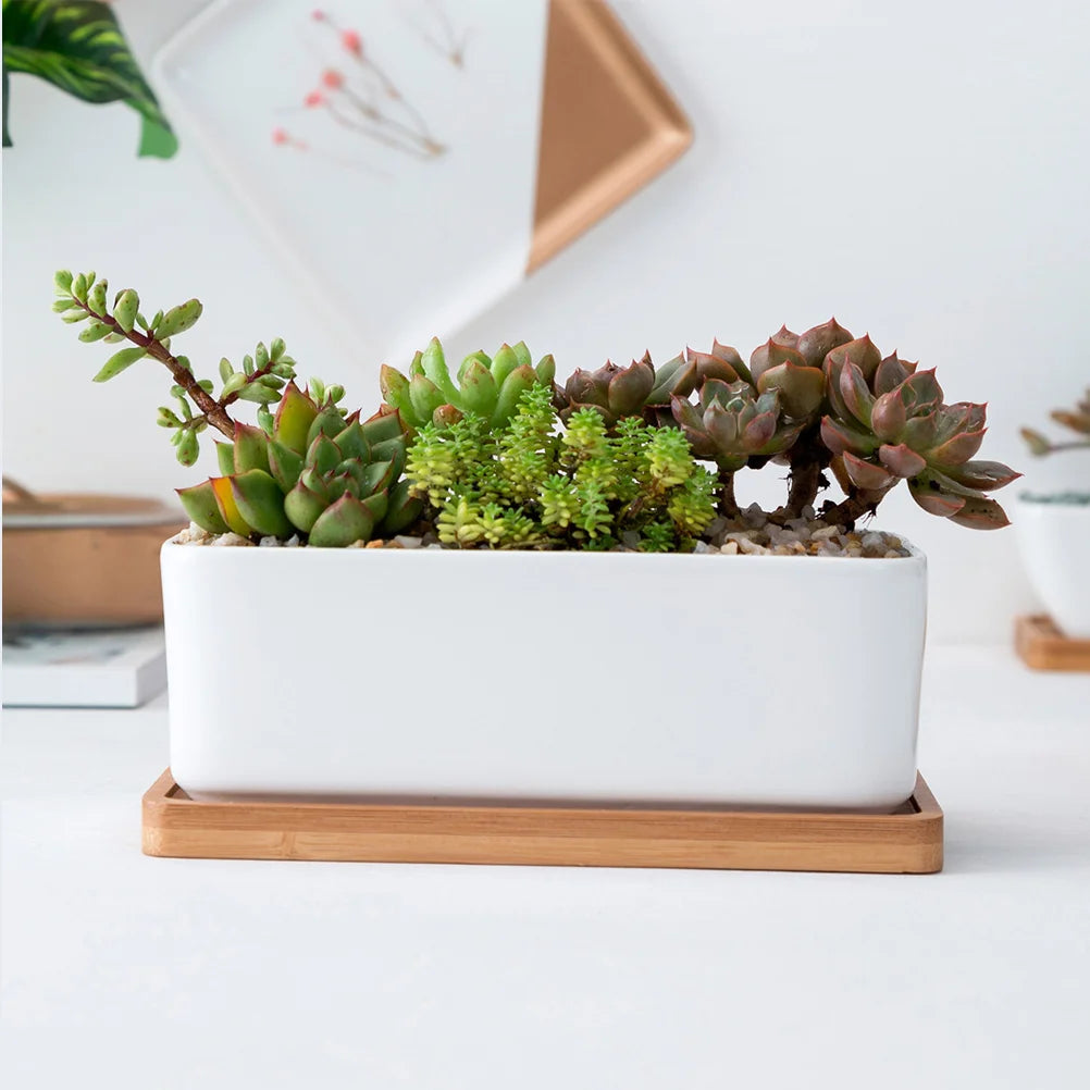 Jardinière en céramique | Norys