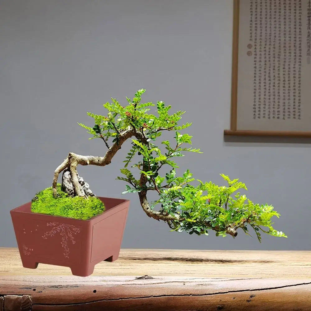 Jardinière d'intérieur | Style moderne et épuré