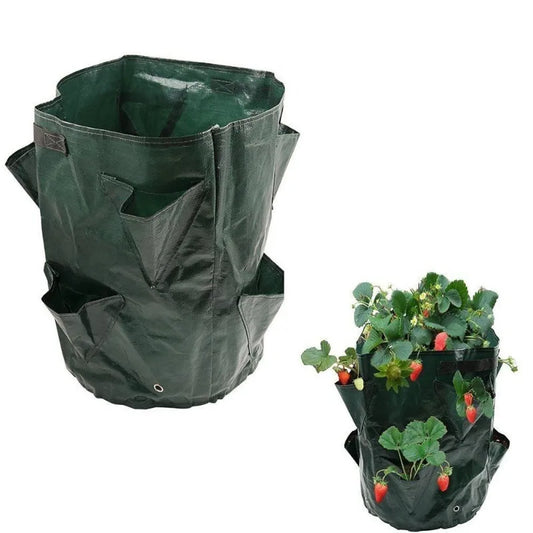 jardiniere fraisier | Loryal