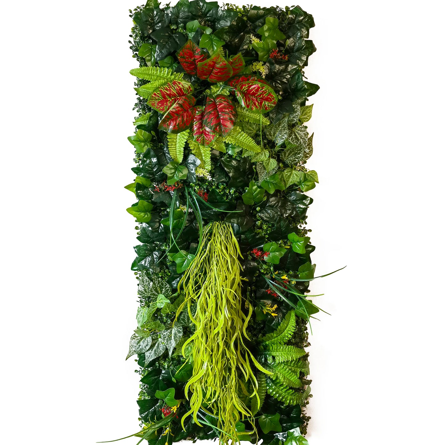 plantes mur végétal exterieur | Fenaya