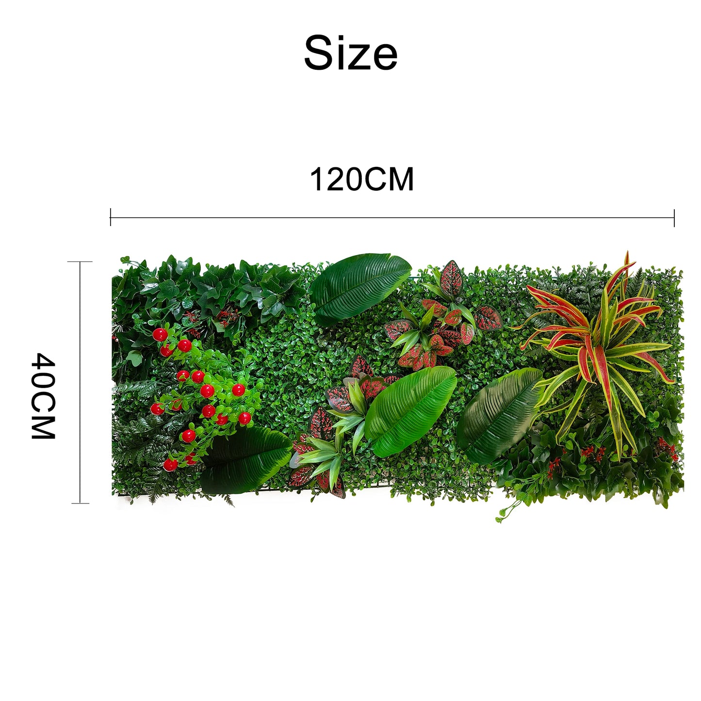 Mur végétal de jardin | Thoren