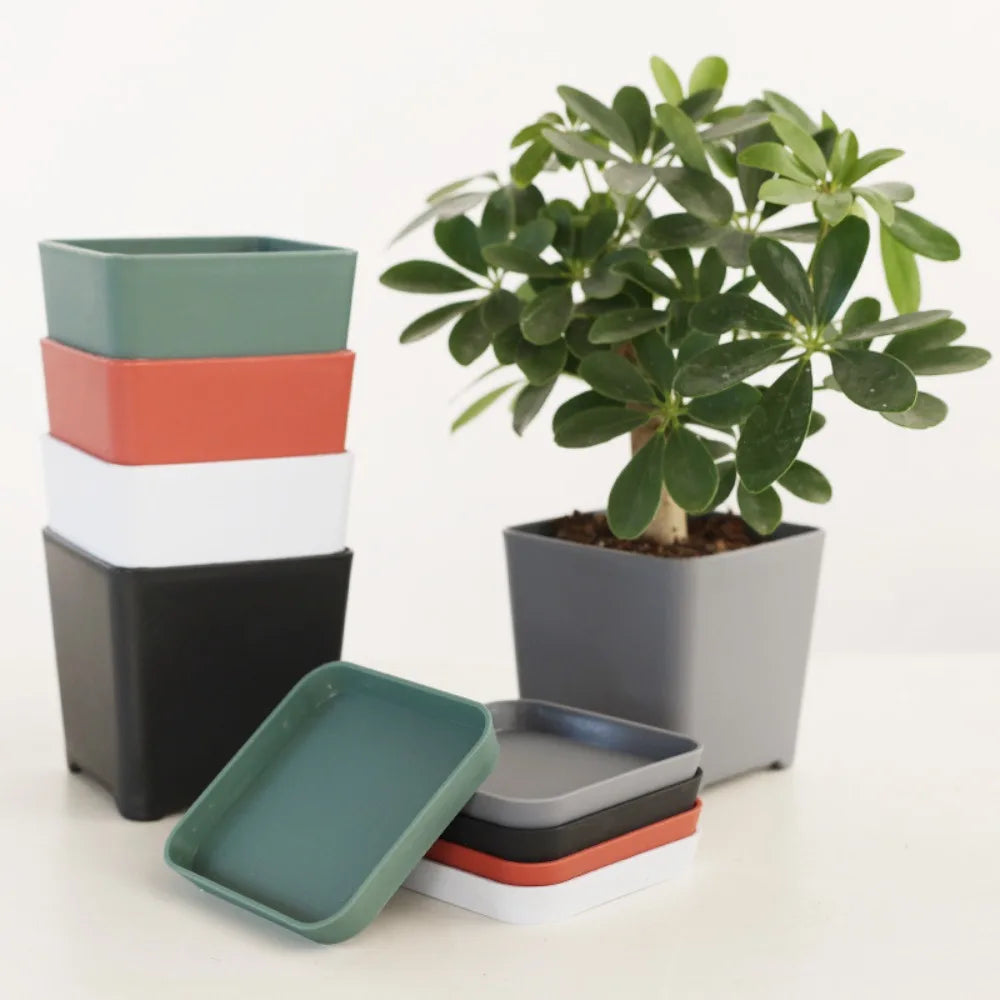 jardiniere carre | simplicité et élégance