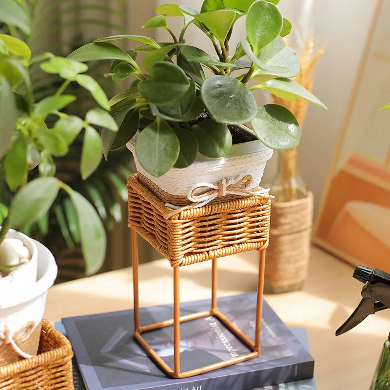 Jardinière en bois | Avenor