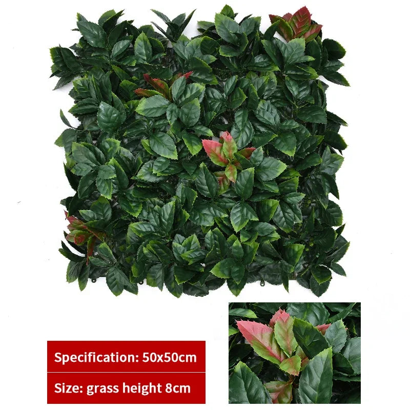 Mur végétal lierre rouge | charme sauvage et élégant