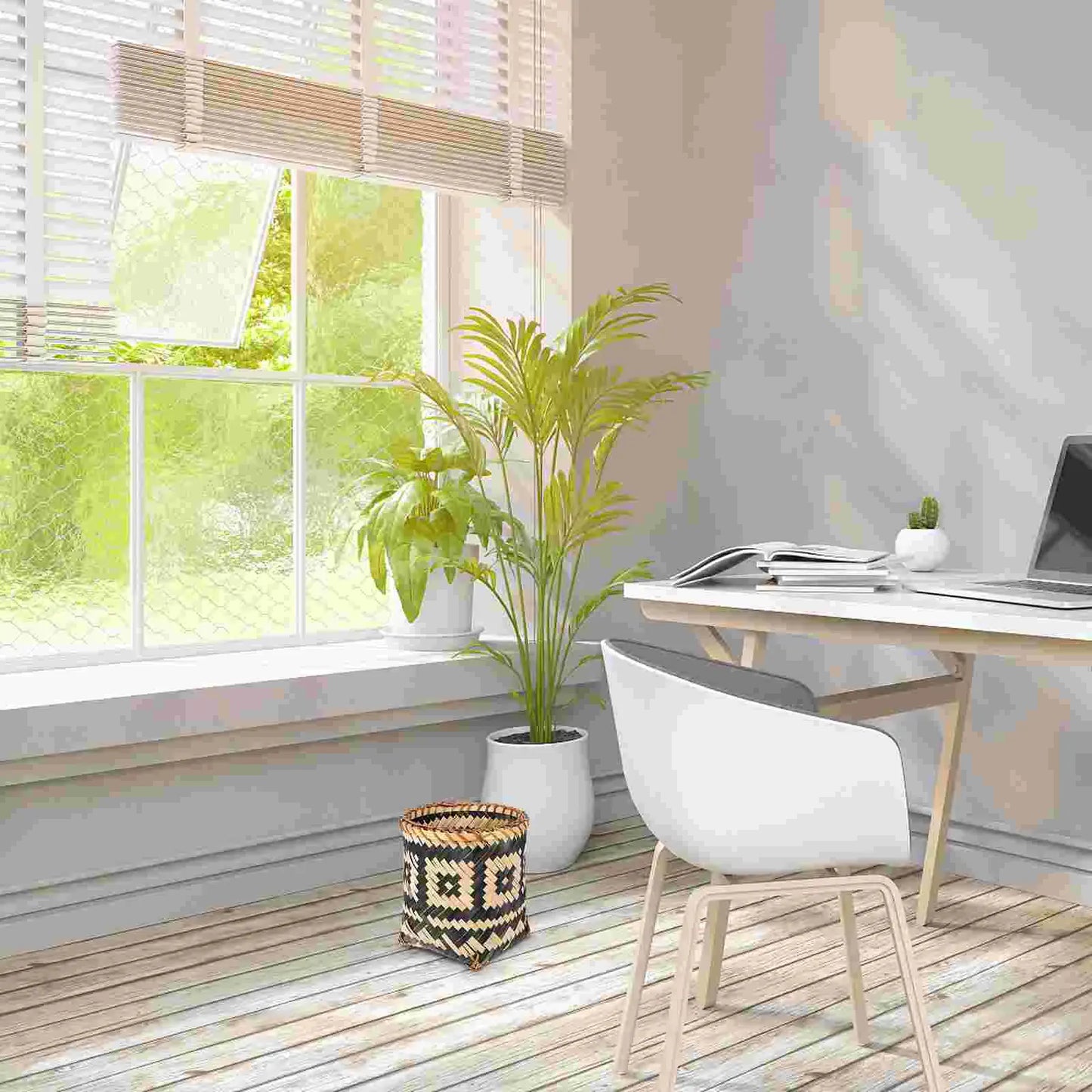 bambou jardinière | Sylvenis