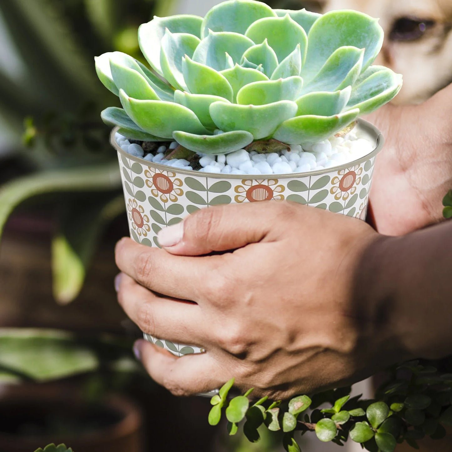 Jardinière bois pour terrasse | Meliora
