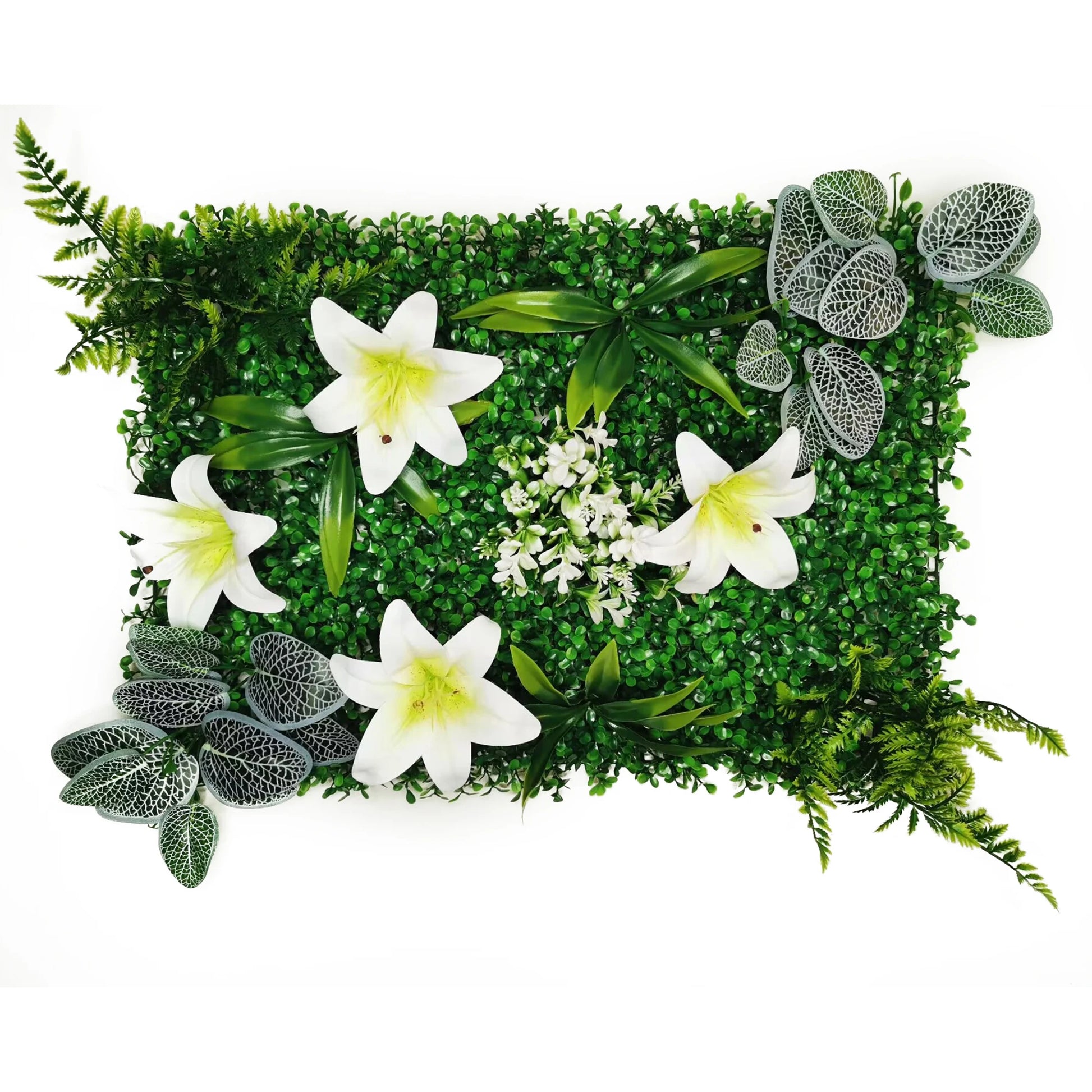 Mur végétal étoiles blanches | composition lumineuse et élégante