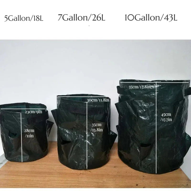 jardinière fraisier | Loryal