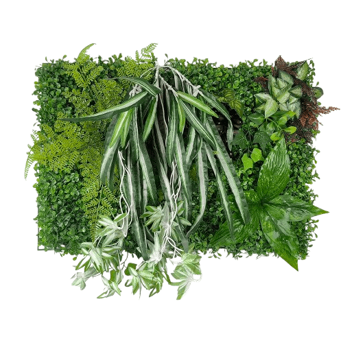 murs végétal | Elyen