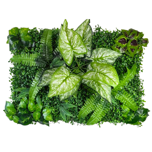 petit mur végétal | Lorvys