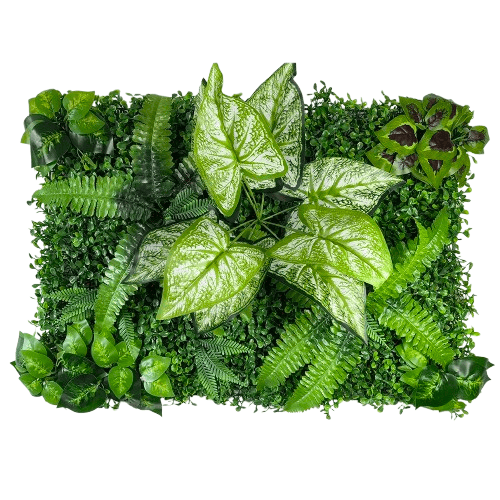 petit mur végétal | Lorvys