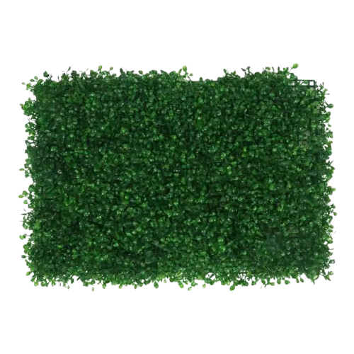 murs végétaux intérieurs | Aerion