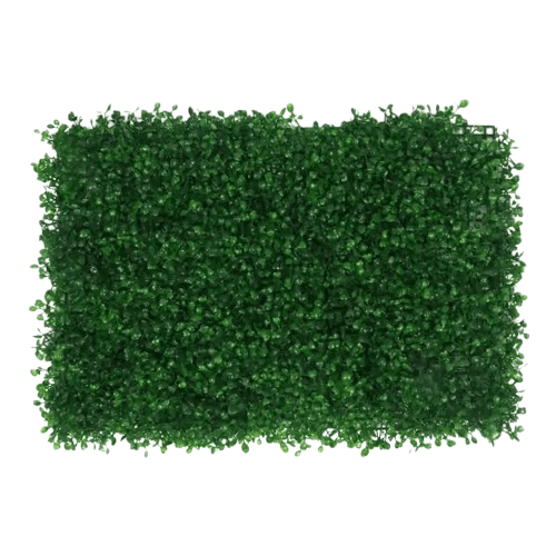 murs végétaux intérieurs | Aerion