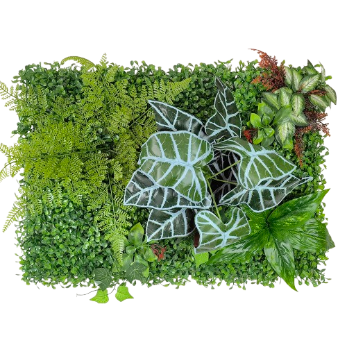 mur végétal intérieur bureau | Talwen