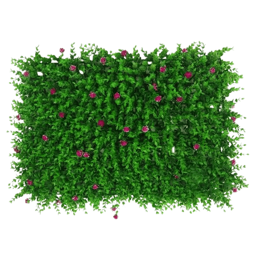 mur végétal stabilisé extérieur | Valris